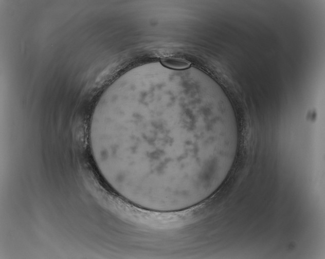 X0000115590031200912011514