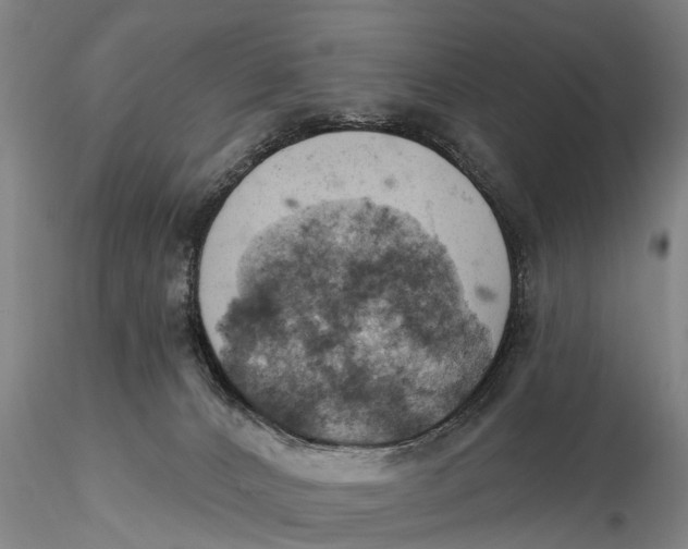 X0000115590032200912011514