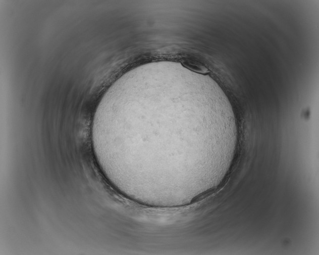 X0000115590033200912011514