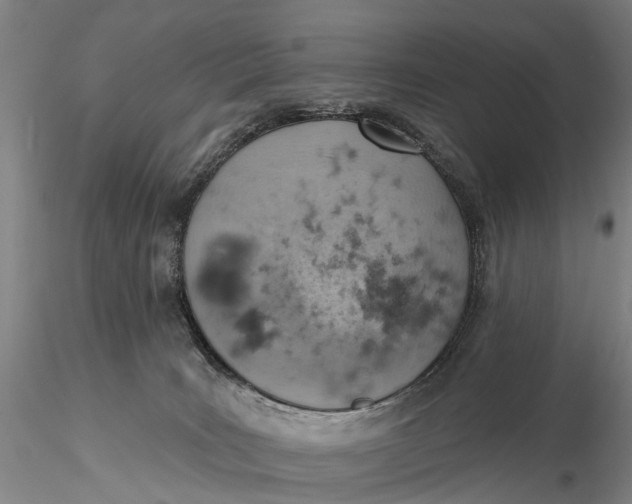 X0000115590035200912011513