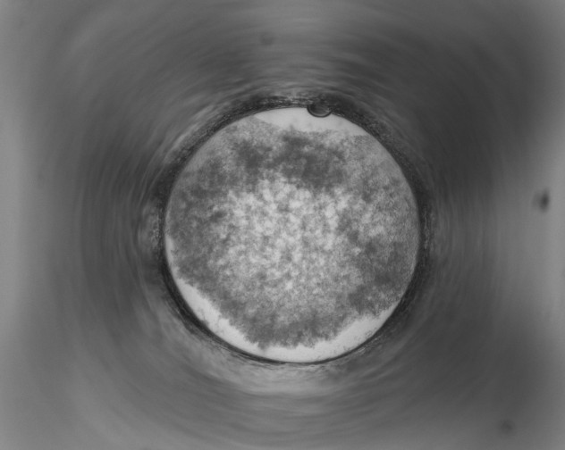 X0000115590036200912011513