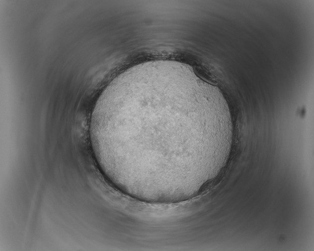 X0000115590037200912011513