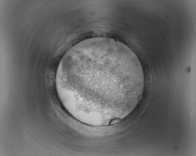 X0000115590038200912011513