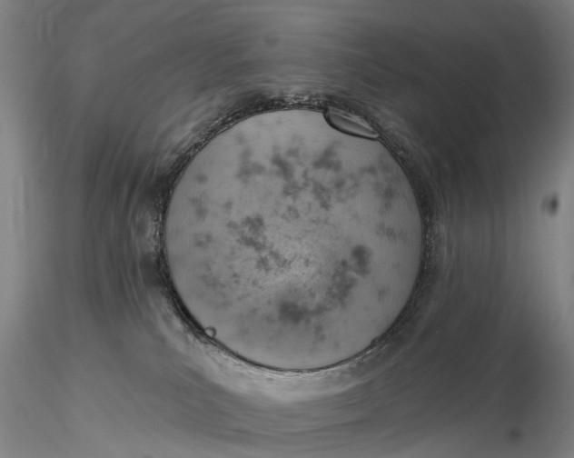 X0000115590039200912011513