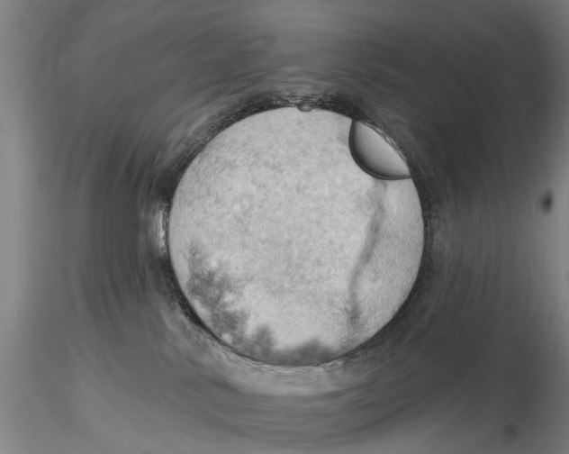 X0000115590042200912011513