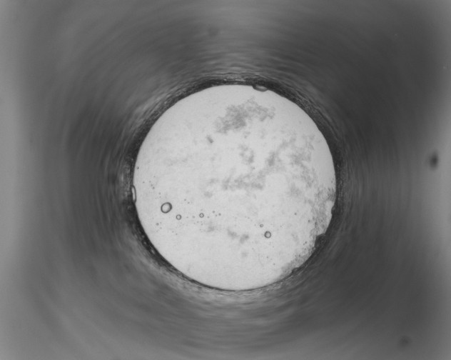 X0000115590043200912011513