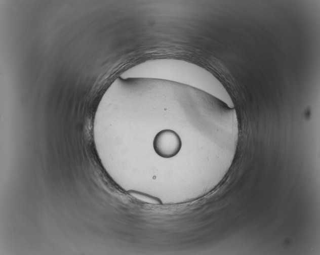 X0000115590045200912011513