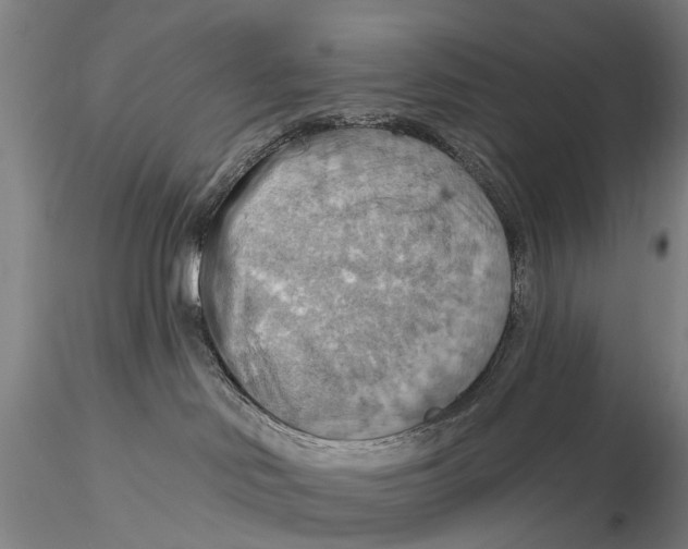 X0000115590046200912011513