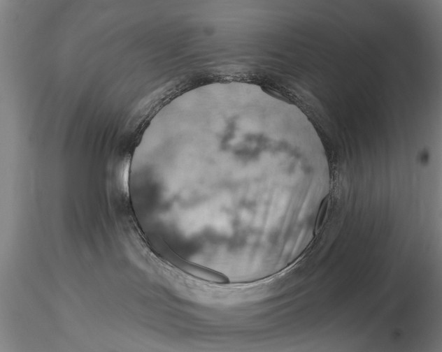 X0000115590047200912011513