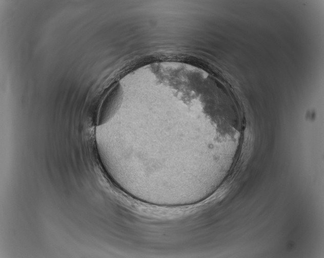 X0000115590048200912011513