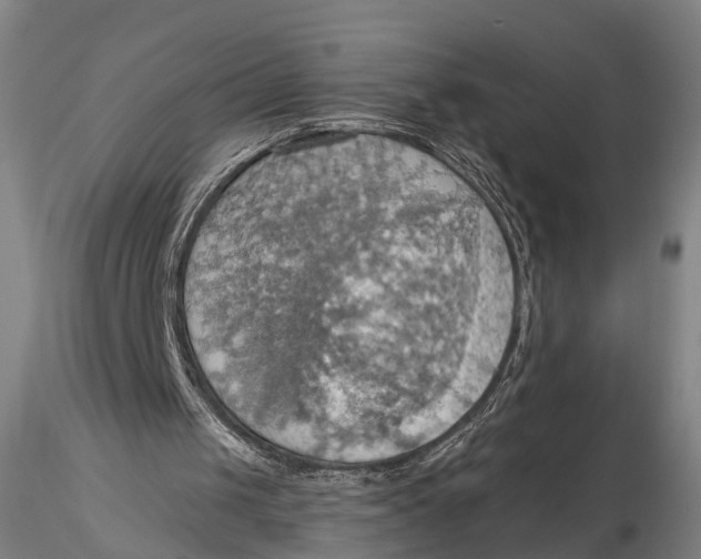 X0000115590049200912011513