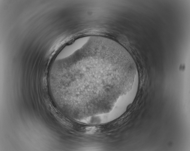 X0000115590050200912011513