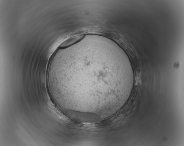 X0000115590052200912011513