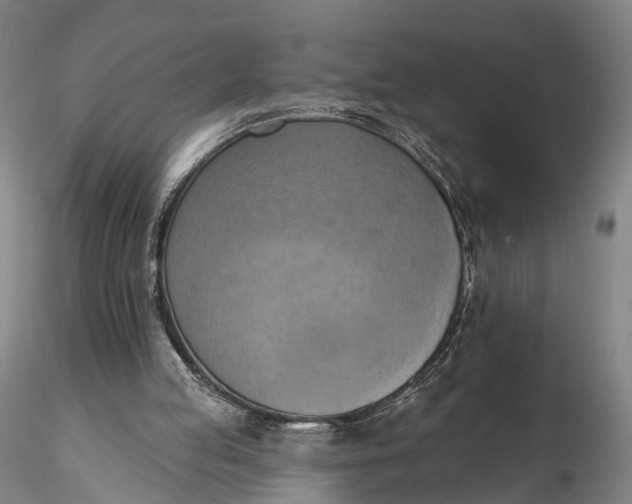 X0000115590053200912011513