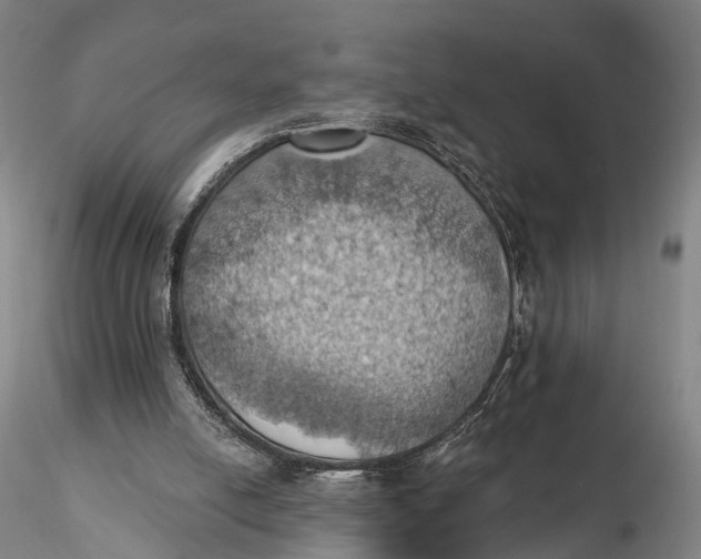 X0000115590054200912011513