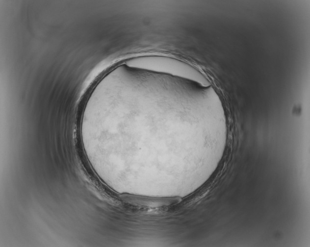 X0000115590056200912011513