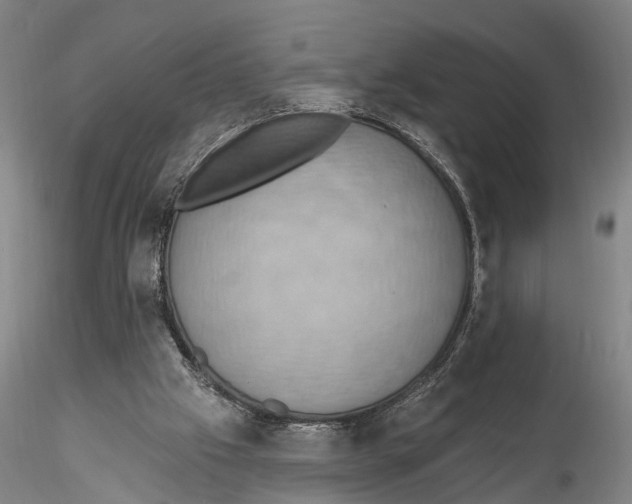 X0000115590057200912011513