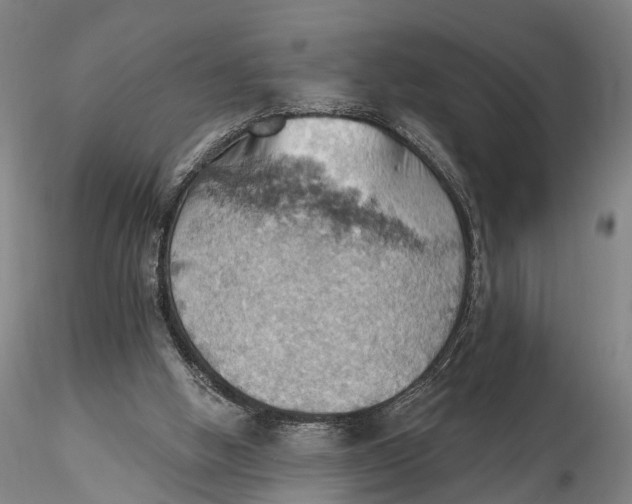 X0000115590058200912011513