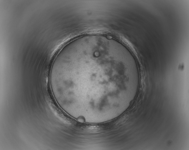 X0000115590059200912011513