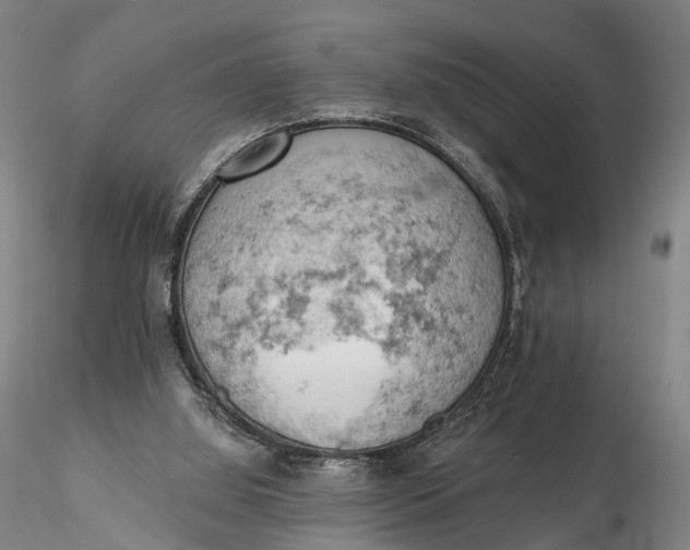 X0000115590060200912011513
