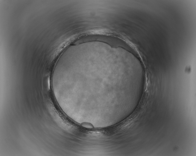 X0000115590061200912011513