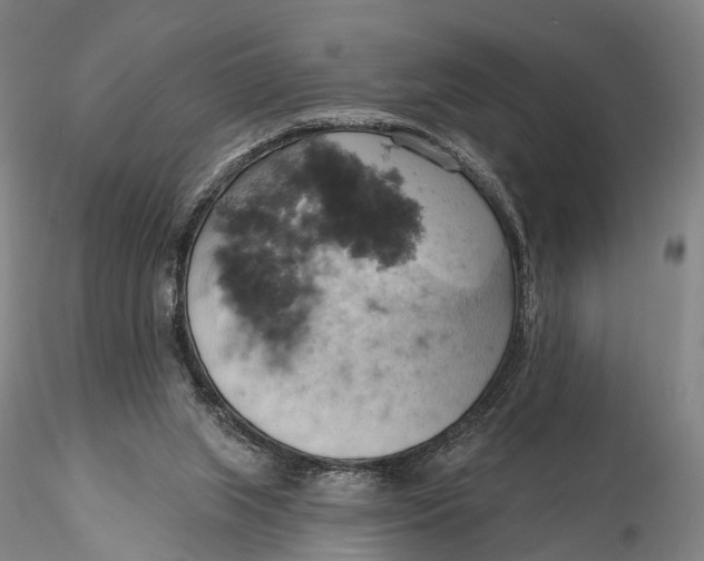 X0000115590063200912011513