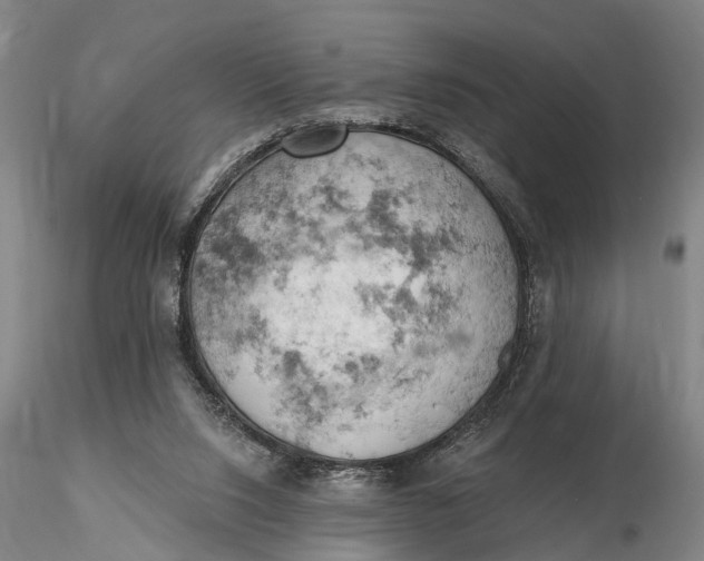 X0000115590064200912011513