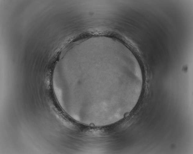X0000115590065200912011513