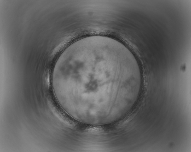 X0000115590067200912011513
