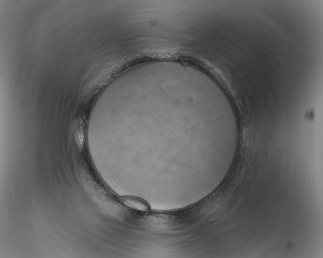X0000115590069200912011513