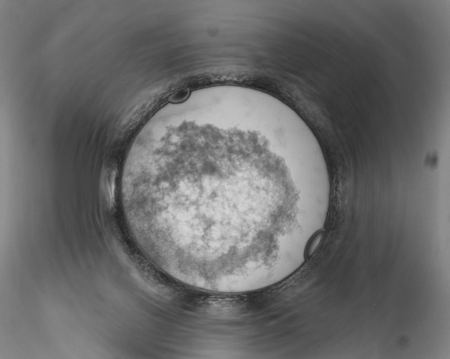X0000115590070200912011513