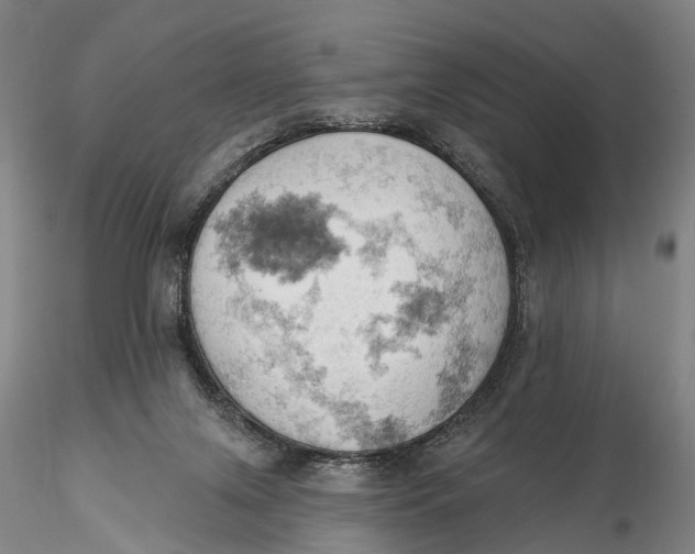X0000115590071200912011513