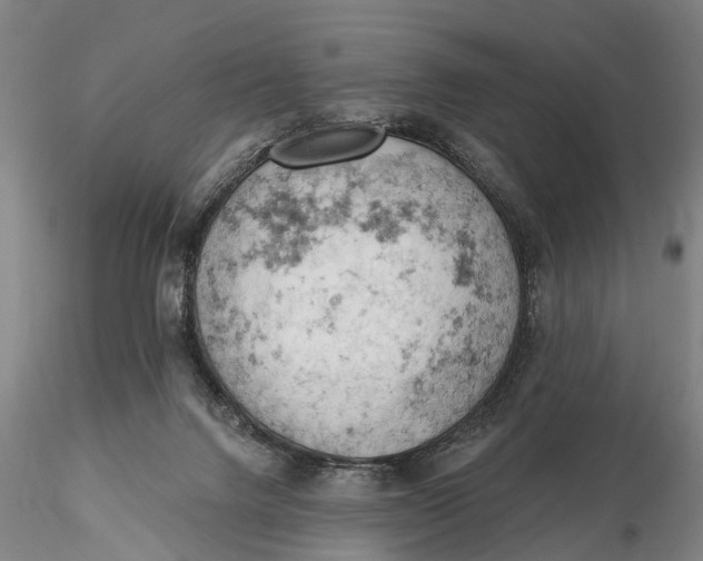 X0000115590072200912011513