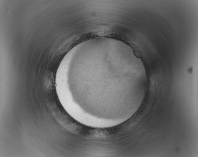 X0000115590073200912011513