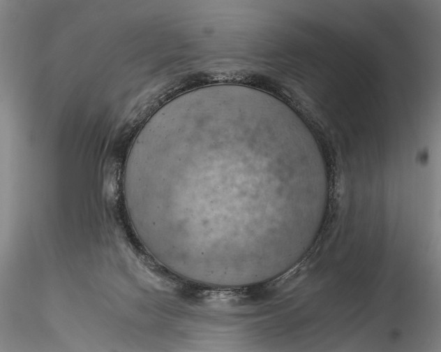 X0000115590074200912011513