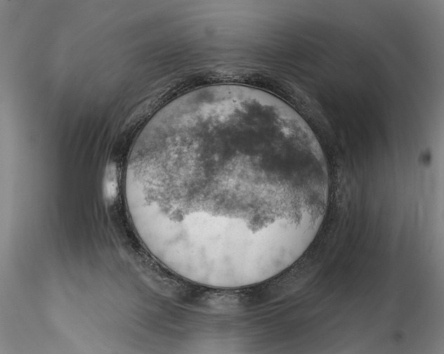 X0000115590075200912011513