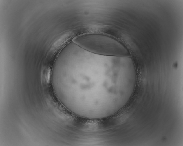 X0000115590076200912011513