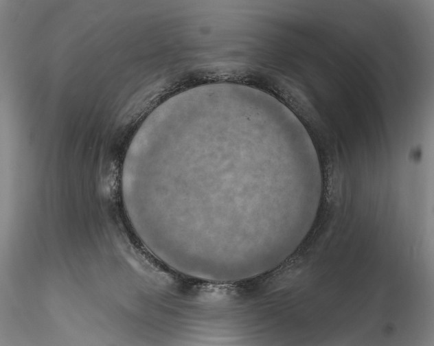 X0000115590077200912011513