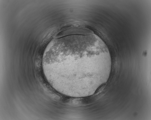 X0000115590078200912011513