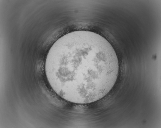 X0000115590079200912011513