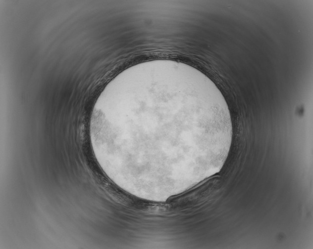 X0000115590080200912011513