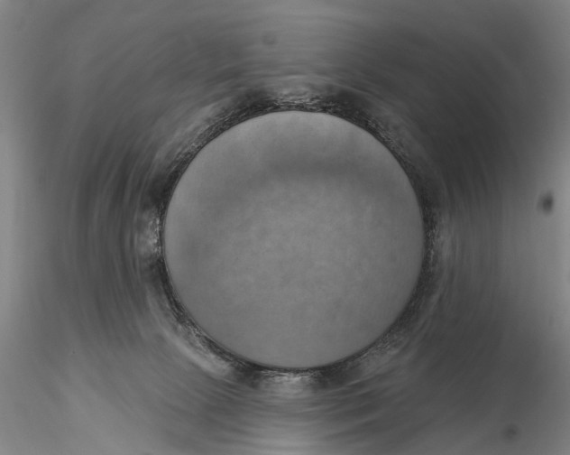 X0000115590081200912011513