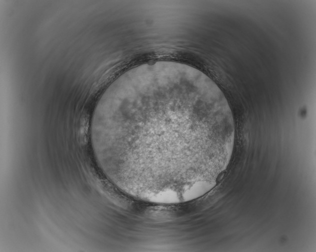 X0000115590082200912011513