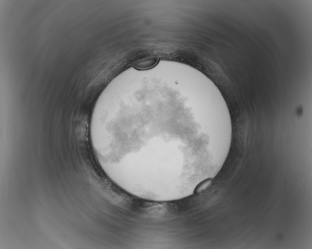 X0000115590083200912011513