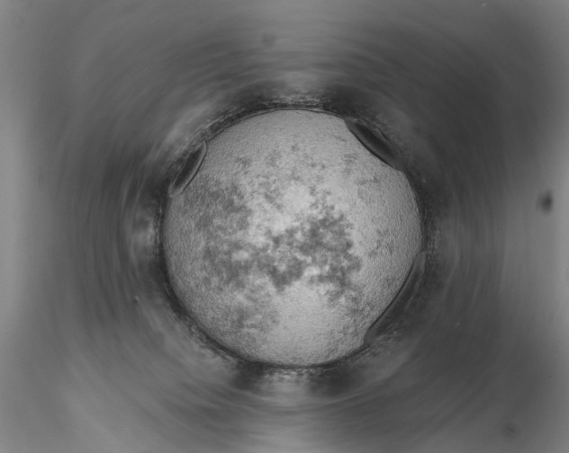 X0000115590084200912011513