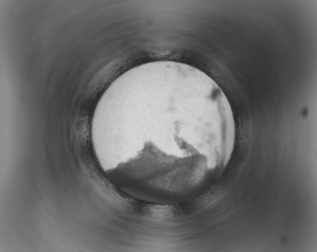 X0000115590085200912011513