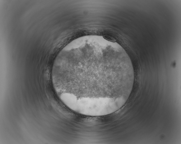 X0000115590086200912011513