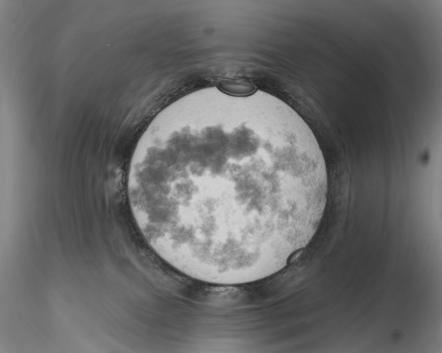 X0000115590087200912011513