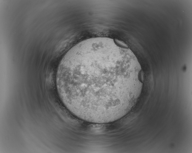 X0000115590088200912011513