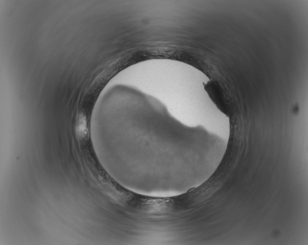 X0000115590089200912011513